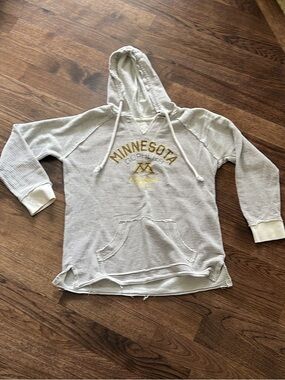 Minnesota Striped Lightweight Hoodie with Gold Logo